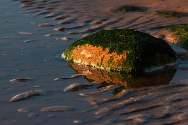 Musgo Verde Sobre Piedras Cerca Del Mar —  Fotos de Stock