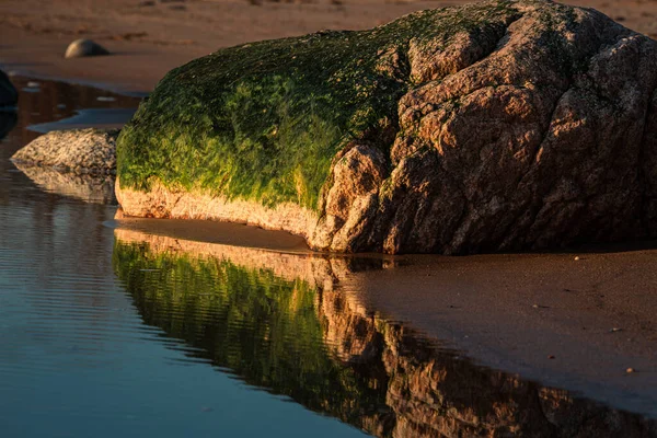 Musgo Verde Pedras Perto Mar — Fotografia de Stock