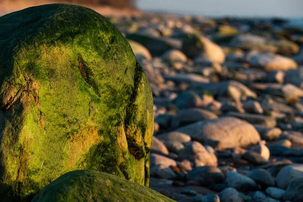 Green Moss Stones Sea — Foto Stock