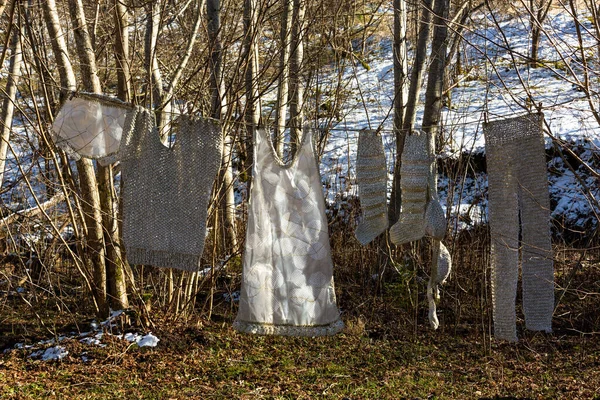 Laundry Hanging Trees Forest — Stockfoto