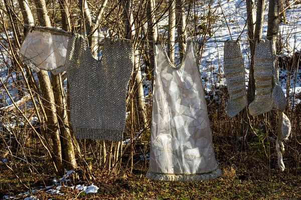 Πλυντήρια Κρέμονται Δέντρα Στο Δάσος — Φωτογραφία Αρχείου