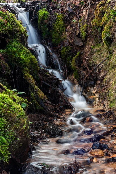 Vackert Vattenfall Skogen — Stockfoto