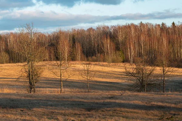 Autumn Landscape Trees Blue Sky — Zdjęcie stockowe