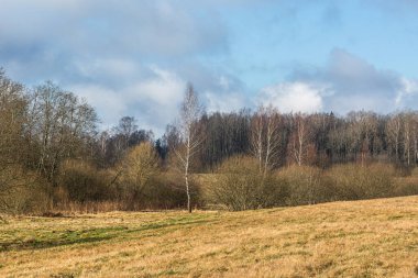 Ağaçları ve mavi gökyüzü olan güzel bir manzara.