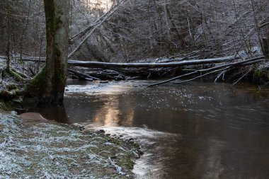 Kış ormanında güzel bir nehir