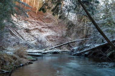 Kış ormanında güzel bir nehir