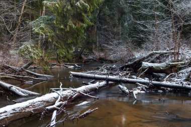 Kış ormanında güzel bir nehir