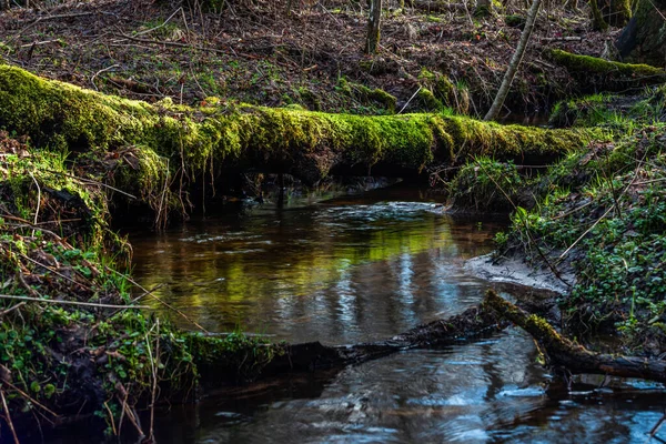Bulutlu bir günde bir dere ve küçük bir gölet.