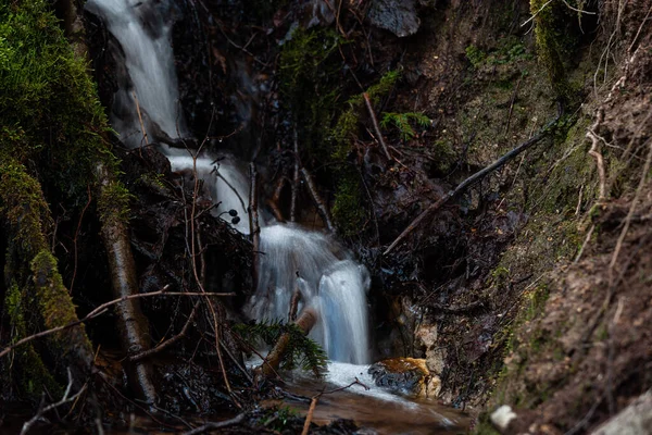 Der Wasserfall Wald Vor Dem Hintergrund Des Waldes — Stockfoto