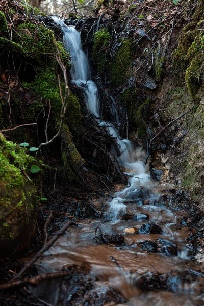 Hermosa Cascada Del Bosque Con Musgo Rocas — Foto de Stock