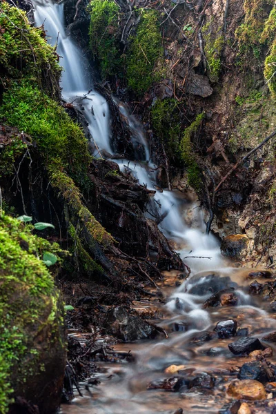 Cascada Bosque — Foto de Stock