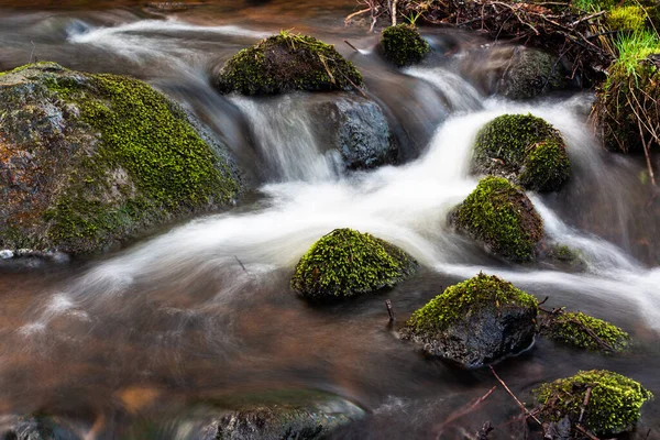 Річка Лісі Влітку Скелями Вершині Води — стокове фото