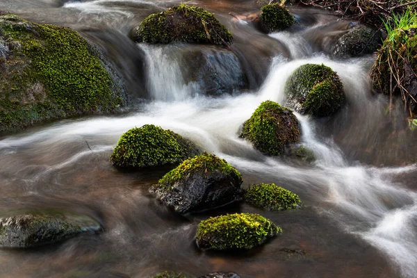 Красивий Знімок Водоспаду Лісі — стокове фото