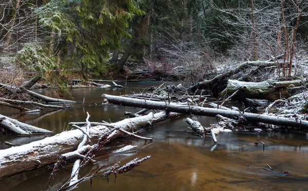 Belle Rivière Dans Forêt Hiver — Photo