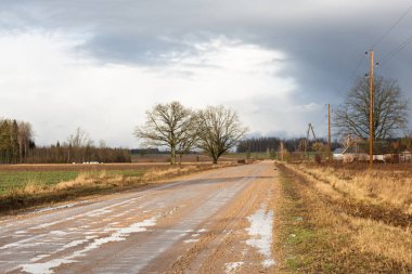 Yol, tarlalardaki ağaçlar, bir sürü kuru yeşil çimen. 
