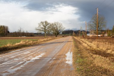 Yol, tarlalardaki ağaçlar, bir sürü kuru yeşil çimen. 