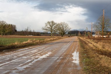 Yol, tarlalardaki ağaçlar, bir sürü kuru yeşil çimen. 