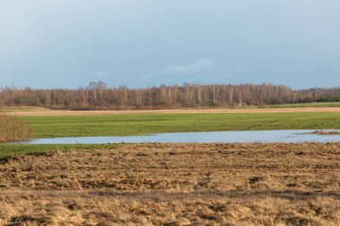 Tarlada göl olan güzel manzara 