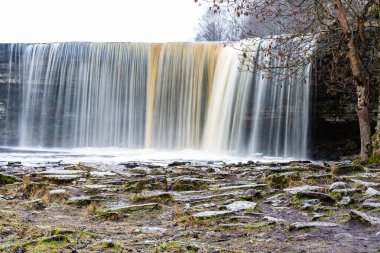 Ormanda güzel bir şelale 