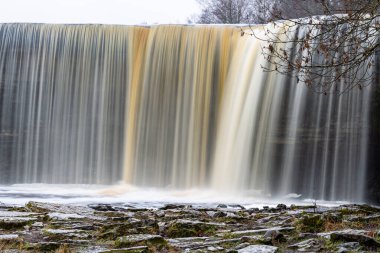 Ormanda güzel bir şelale 