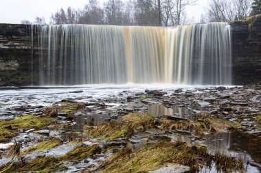 Ormanda güzel bir şelale 