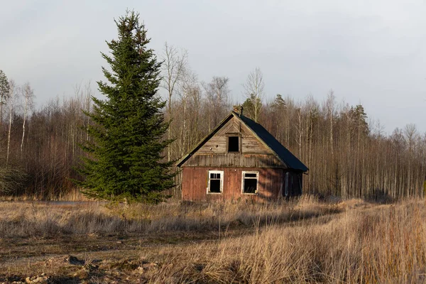 Antigua Casa Abandonada Bosque — Foto de Stock