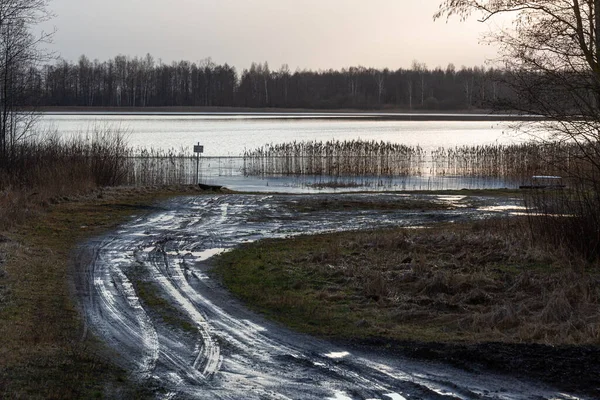 River Winter Forest — Stock Photo, Image