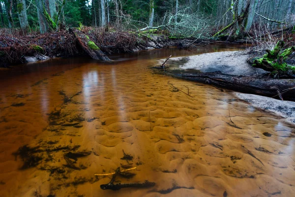 Hermoso Río Bosque — Foto de Stock