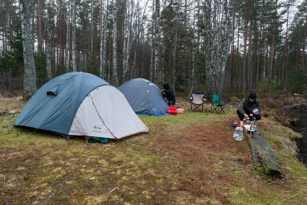 Namiot Kempingowy Lesie — Zdjęcie stockowe