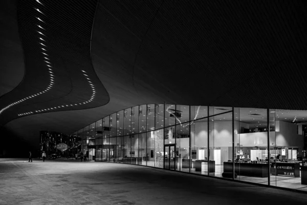 Vue Nuit Ville Noir Blanc Photo De Stock