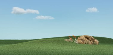 Güzel yeşil çimenler parlak gökyüzünün altına iniyor başlık görüntüleri için tek büyük kaya, 3D görüntüleme, insan yok