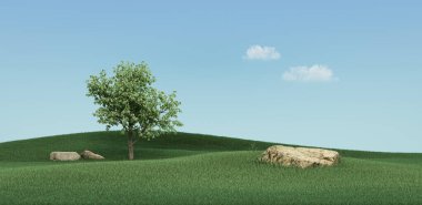 Güzel yeşil çimenler parlak gökyüzünün altında kayalar, yapraklar ve başlık resimleri için tek bir ağaç ile iniyor.