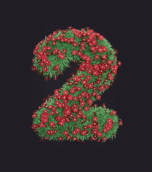 Tráva Číslo Dvě Které Rostou Červené Květy Izolované Ekologické Číslo — Stock fotografie