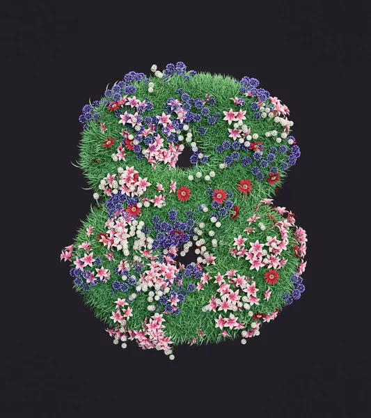 Erba Numero Otto Cui Crescono Fiori Colorati Isolato Numero Ecologia — Foto Stock