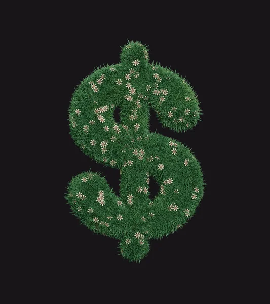 Geïsoleerde Gras Dollar Symbool Met Witte Kleur Bloemen Eco Dollar — Stockfoto