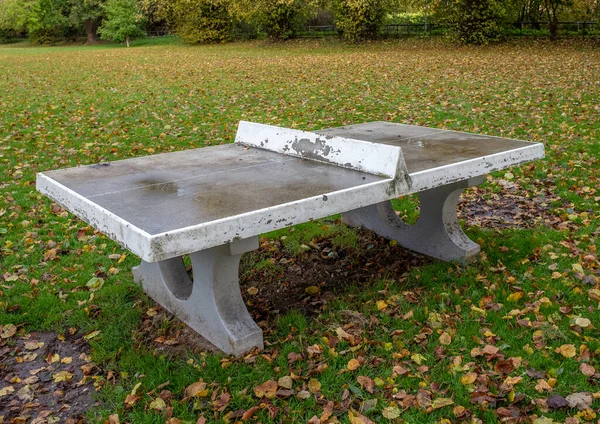 Concrete public table tennis or ping pong table in a green field with autumn colours.