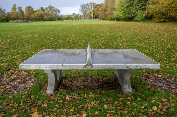 Concrete public table tennis or ping pong table in a green field with autumn colours.