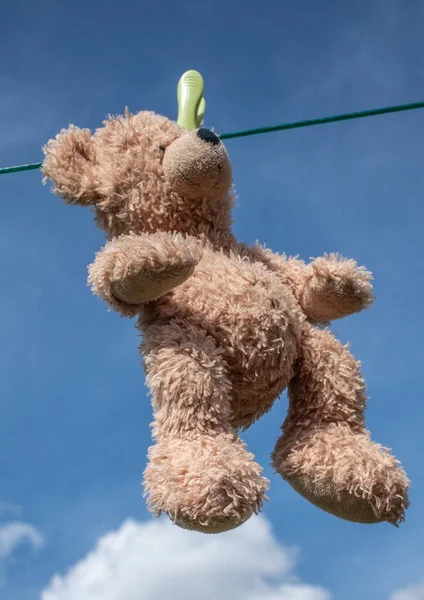 一只棕色的泰迪熊抱着玩具挂在晾衣绳上 只有一个钉子 蓝天背景 — 图库照片