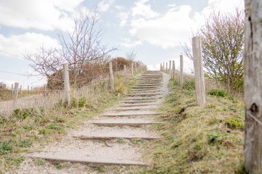 Dışarıda, Hollanda 'daki kum tepelerinde yürüyüş parkurunda.