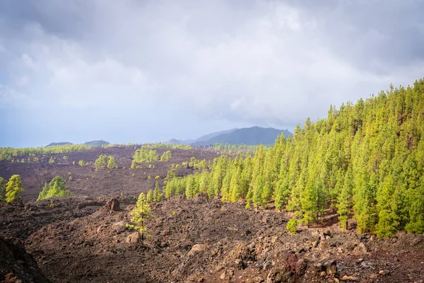 Vulcano El Teide di Tenerife — Stok Foto