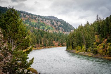 ABD 'de Yellowstone Ulusal Parkı' ndaki dağlarda bir nehir.