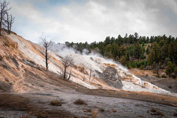 Mamut Hot Spring en el Parque Nacional Yellowstone en los Estados Unidos —  Fotos de Stock