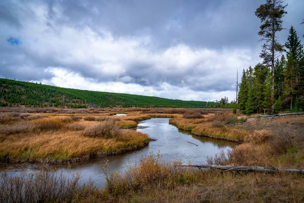 Rzeka wieje przez Park Narodowy Yellowstone w Stanach Zjednoczonych — Zdjęcie stockowe