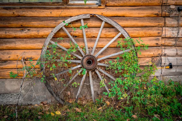 Sarmaşıkla kaplanmış eski tekerlek Amerika Birleşik Devletleri 'ndeki Yellowstone Ulusal Parkı' nda süs olarak duruyor. — Stok fotoğraf