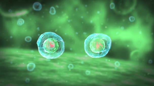 Mitoz Hücre Bölümü Illüstrasyon — Stok video