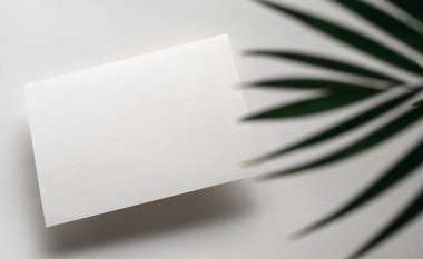 Boş beyaz davet şablonu, dikdörtgen, sanat tuvali dokusu, yumuşak gölgeler, dekoratif bitki, beyaz arkaplan, tuval dokusu, yukarıdan çekilmiş fotoğraf