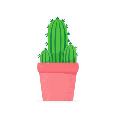 Düz bir şekilde kaktüs. Çiçek saksısında ev kaktüsü. Ev sulu. İzole vektör illüstrasyonu