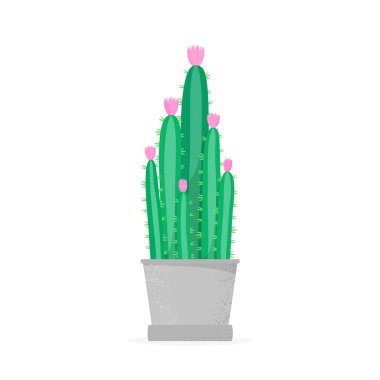 Flowering cactus in a flat style. Blossomed house succulent in pot. Isolated vector illustration