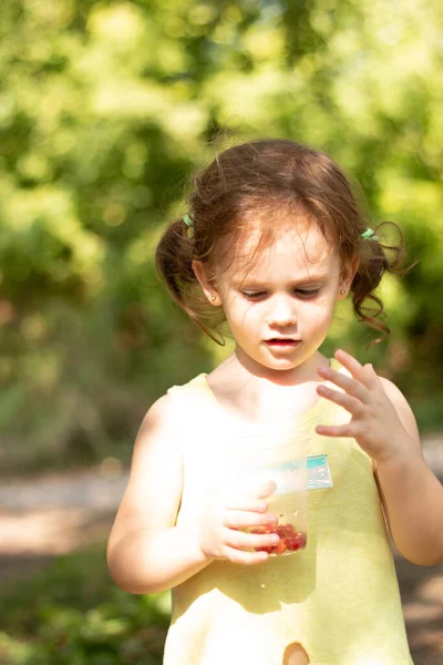 Маленька Кучерява Руда Дівчинка Тримає Пластикове Скло Ягодами Руках Розмитому — стокове фото