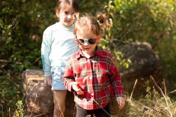 Zwei Kleine Vorschulmädchen Wilder Natur Kleine Kinder Wald — Stockfoto